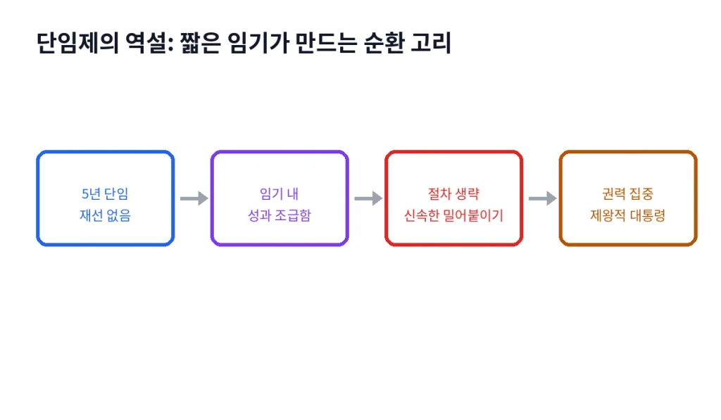 제왕적 대통령제, "단임제는 독재를 막았을까" 1 inline3 paradox loop