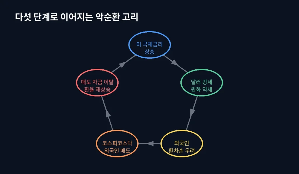 "킹달러"가 돌아오면 외국인은 왜 한국 주식을 파는가 2 inline9 vicious cycle